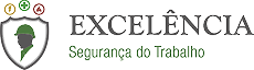 Excelência Segurança do Trabalho